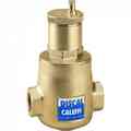 Caleffi 551007A Dis Air Separator 551007A